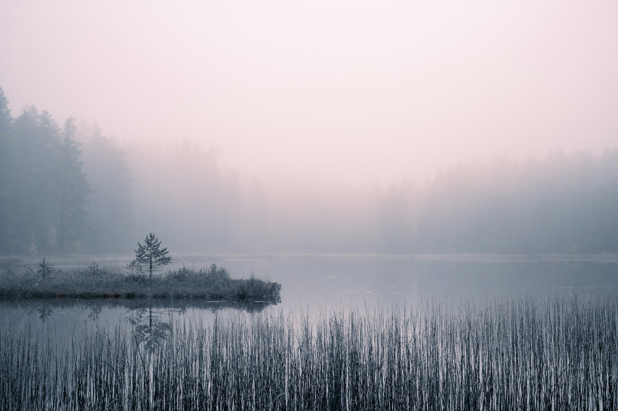 Mist over a calm lake at dawn